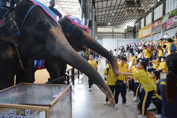โรงเรียนปรีชานุศาสน์
